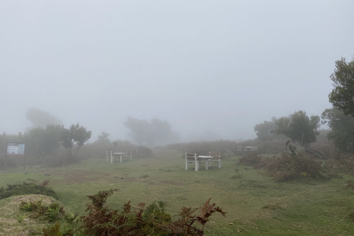 offroad-experience-fanal-beach-5_resized